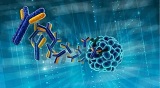 重組抗體快速表達CRO服務